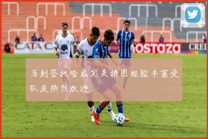 马刺签托哈成完美拼图经验丰富受队友热烈欢迎