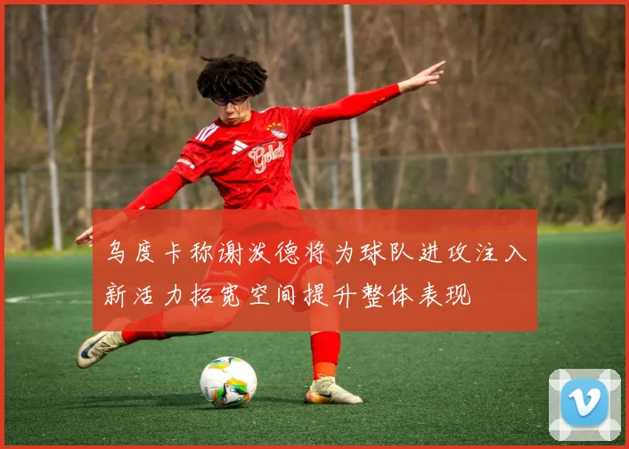 乌度卡称谢泼德将为球队进攻注入新活力拓宽空间提升整体表现